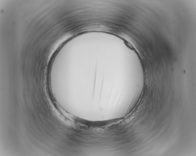 X0000069811139200606161843