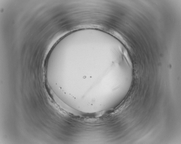 X0000069811140200606161843