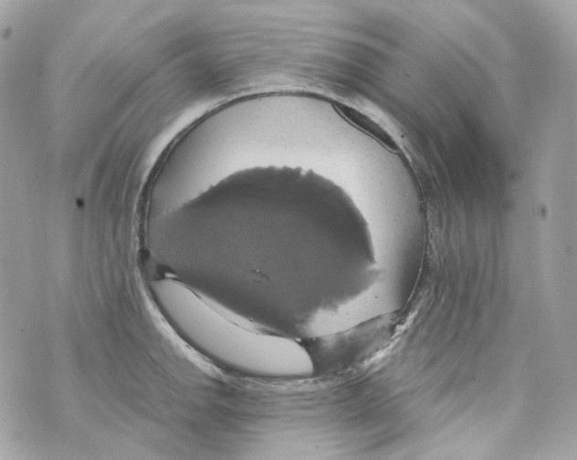 X0000069811142200606161843