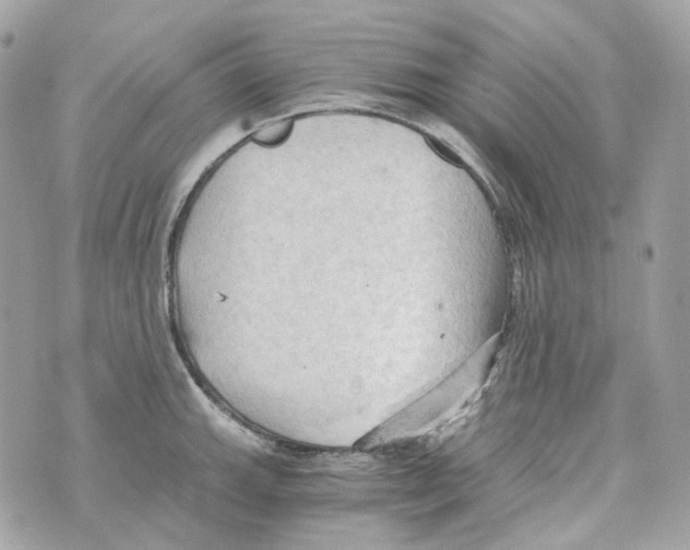 X0000069811143200606161843