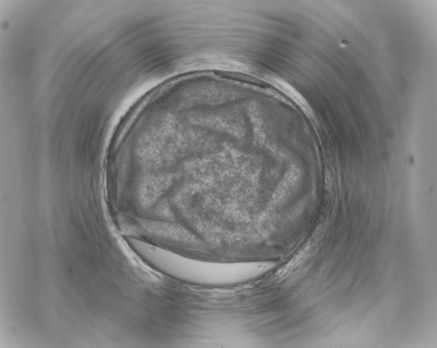 X0000069811144200606161843