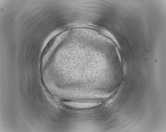 X0000069811146200606161843