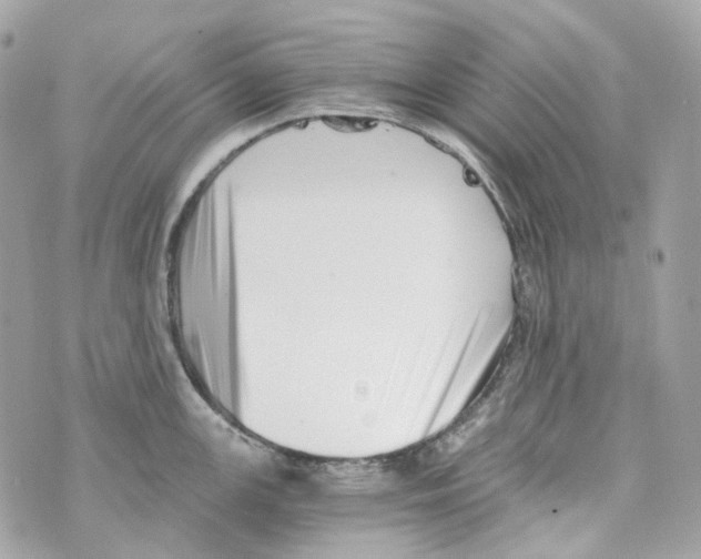 X0000069811147200606161843