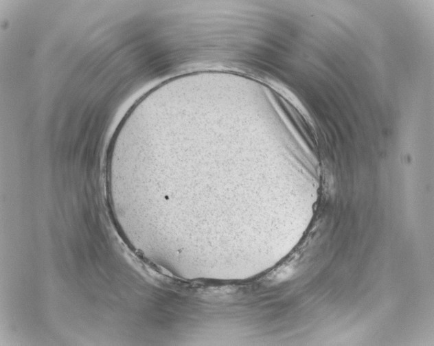 X0000069811148200606161843