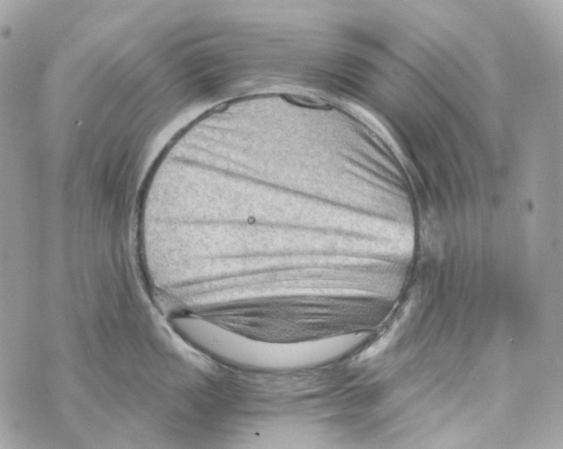 X0000069811149200606161843