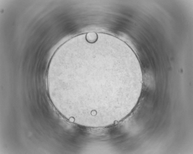 X0000069811150200606161843