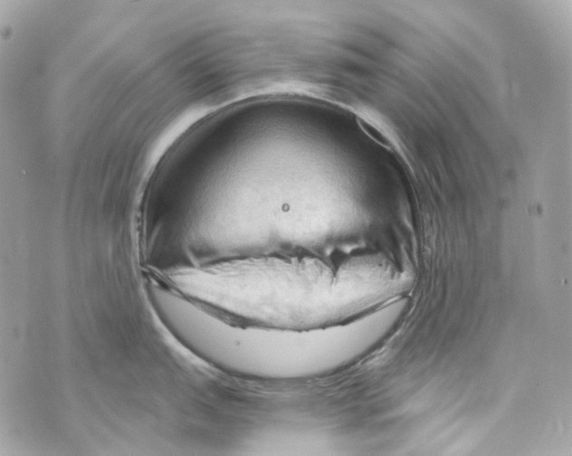 X0000069811151200606161843