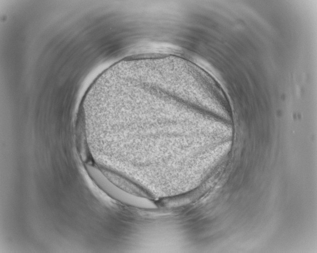 X0000069811152200606161843