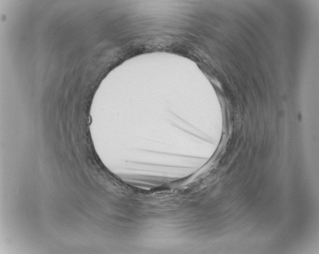 X0000069811153200606161842