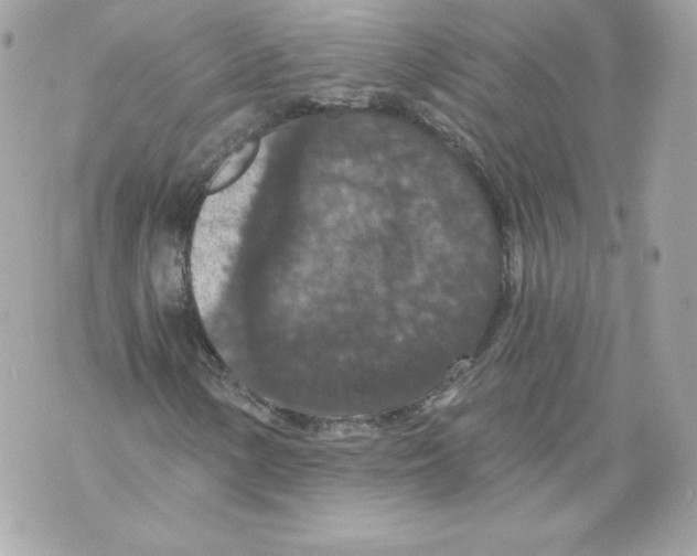 X0000069811154200606161842