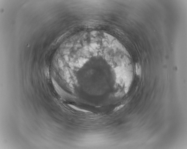 X0000069811155200606161842