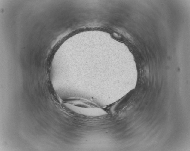 X0000069811160200606161842