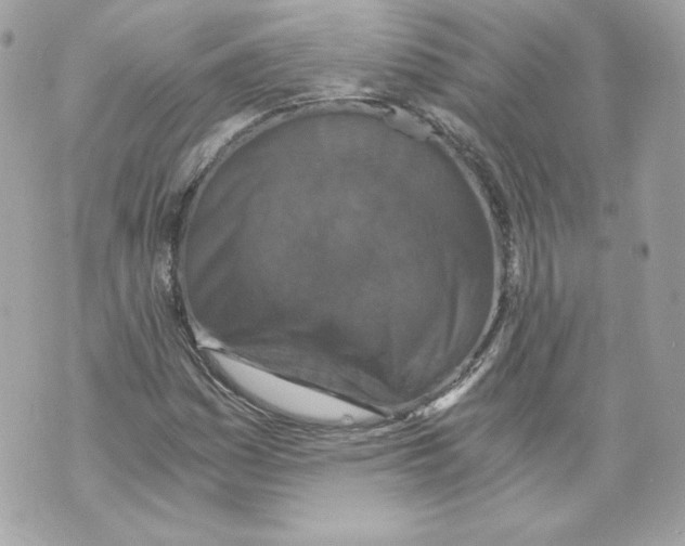 X0000069811161200606161842