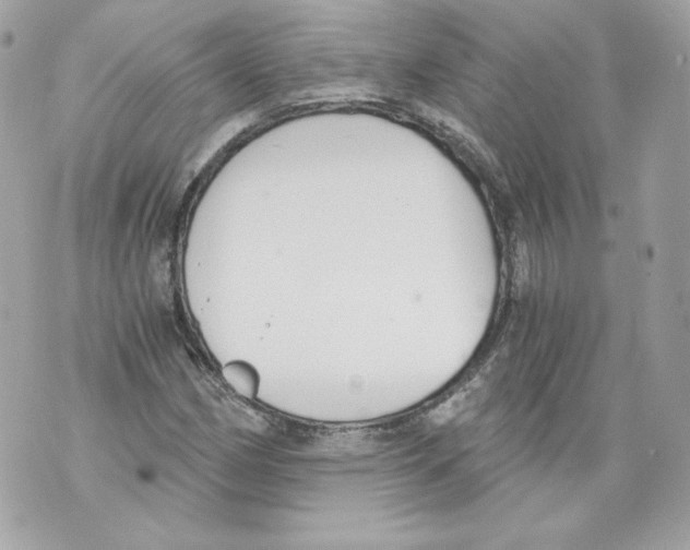 X0000069811162200606161842