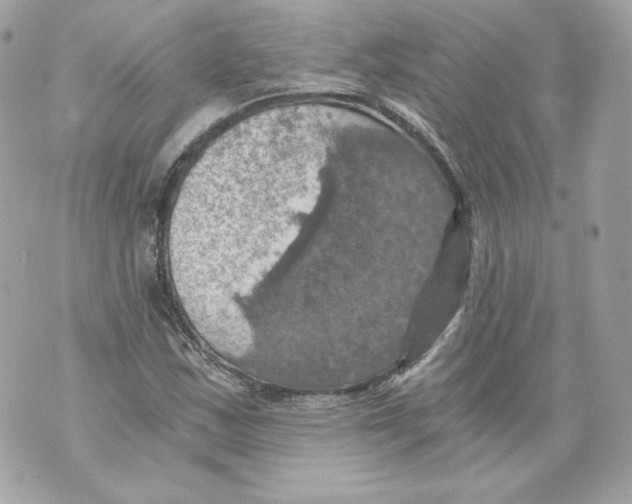 X0000069811163200606161842