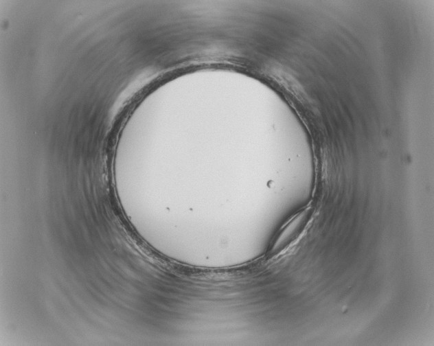 X0000069811164200606161842