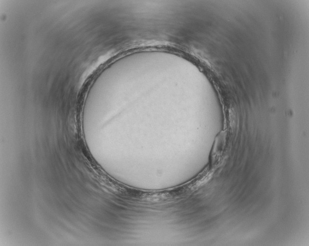 X0000069811165200606161842