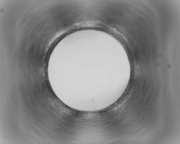 X0000069811166200606161842