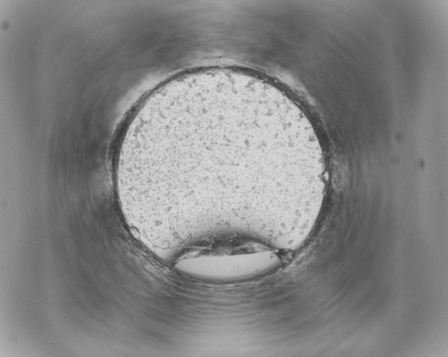 X0000069811167200606161842