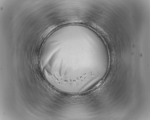 X0000069811169200606161842