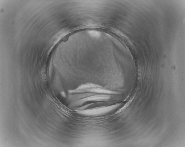 X0000069811170200606161842