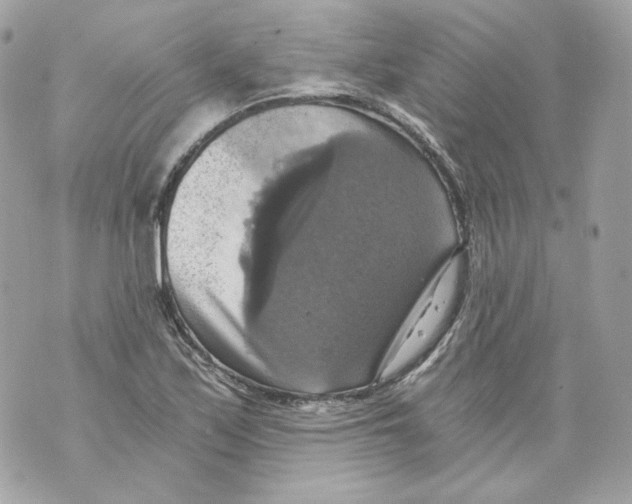 X0000069811171200606161842