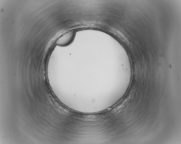 X0000069811172200606161842