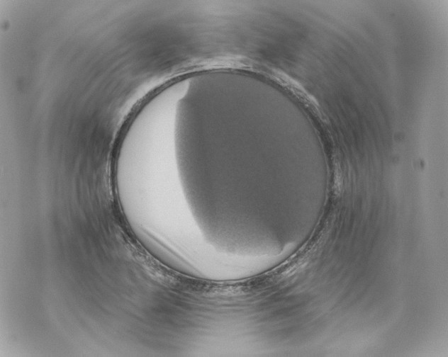 X0000069811174200606161842