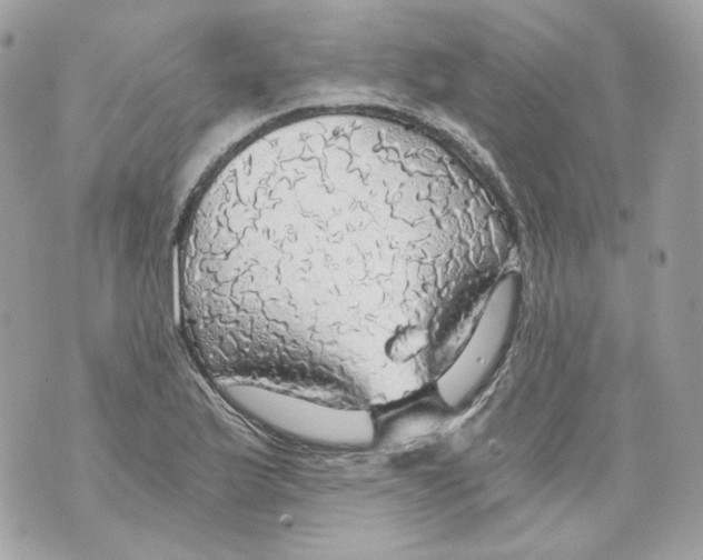 X0000069811175200606161842