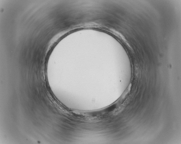 X0000069811176200606161842