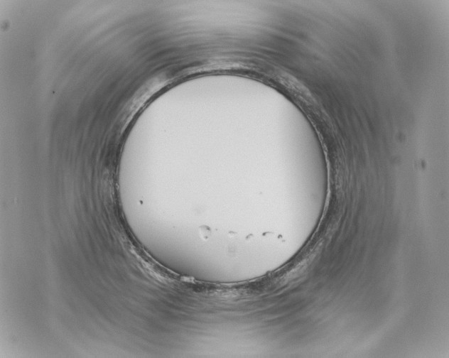 X0000069811177200606161842