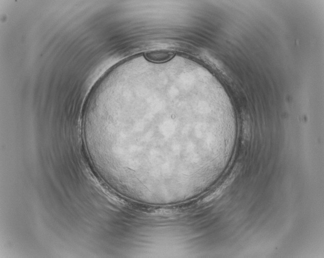 X0000069811178200606161842