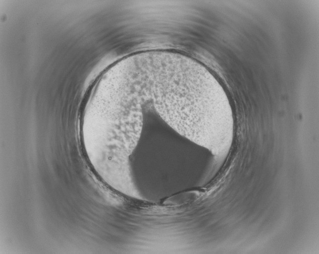 X0000069811179200606161842