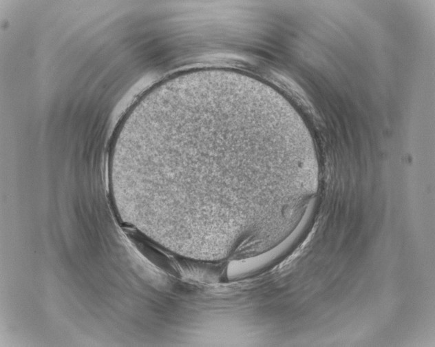 X0000069811180200606161842