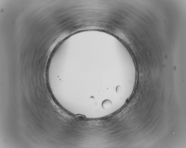 X0000069811181200606161842