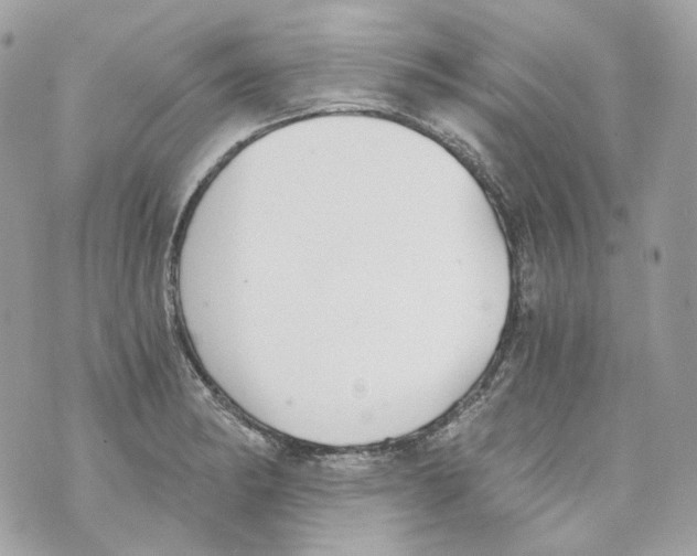 X0000069811182200606161842