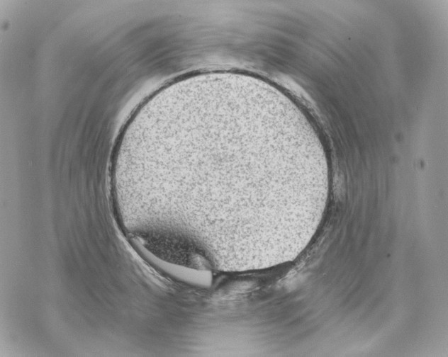 X0000069811183200606161842