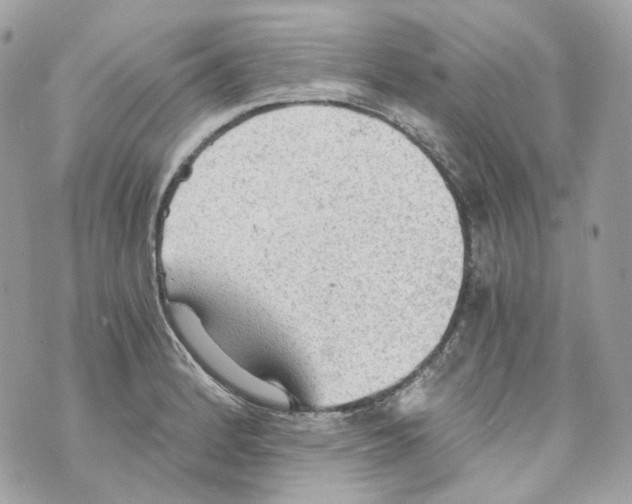 X0000069811184200606161841