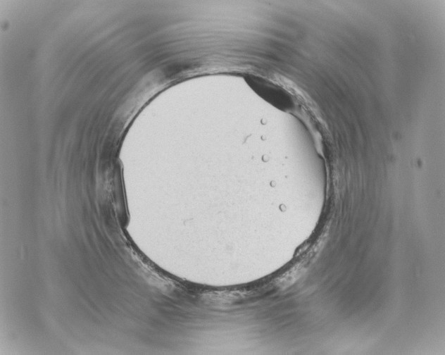 X0000069811185200606161841