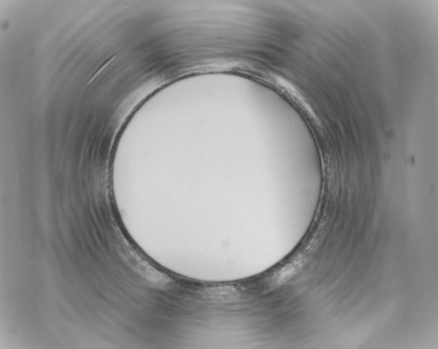 X0000069811186200606161841