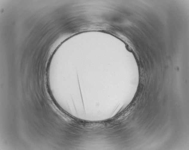 X0000069811187200606161841