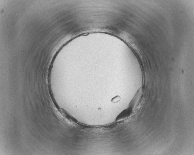 X0000069811189200606161841