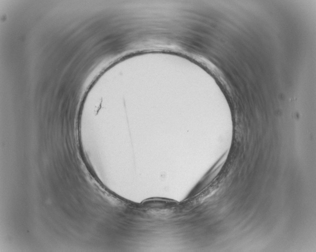 X0000069811191200606161841