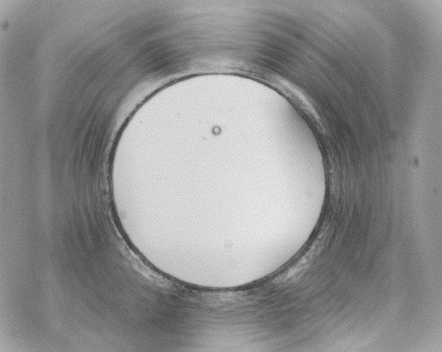 X0000069811192200606161841