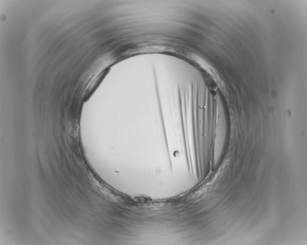 X0000069811193200606161841