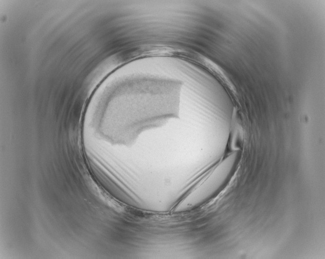 X0000069811194200606161841