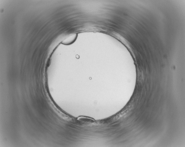 X0000069811195200606161841