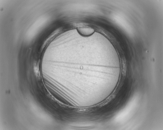 X0000069811198200606161841