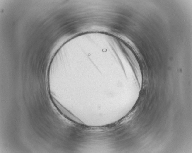 X0000069811199200606161841