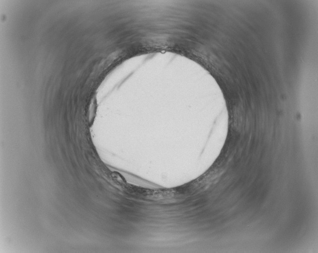 X0000069811201200606161840